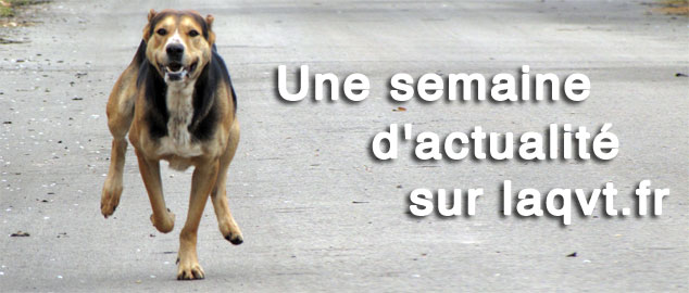 Novéquilibres : les articles de la semaine sur laqvt